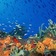Robots to rescue coral reefs